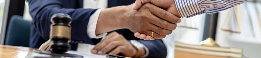 Meeting a lawyer for a lawsuit problem